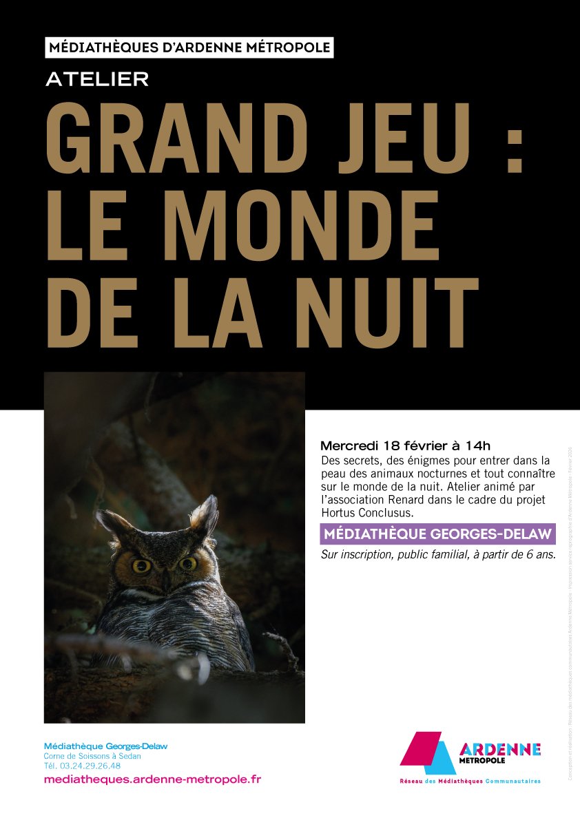Atelier Grand jeu le monde de la nuit SD
